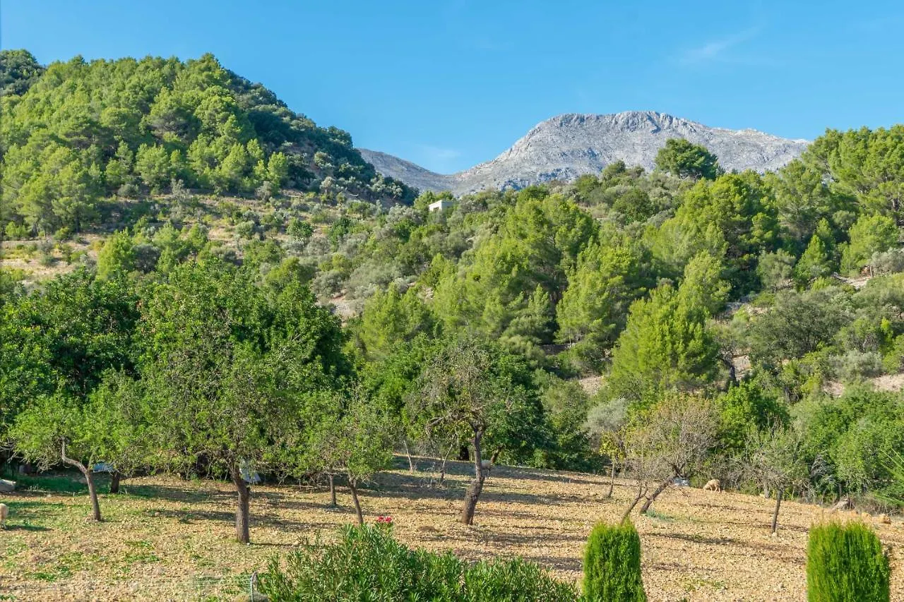 Sa Tanca De Sa Nina Villa Mancor del Valle 0*,